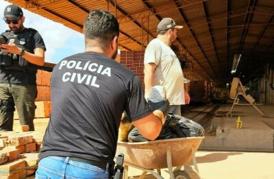 Imagem da notícia Polícia Civil incinera mais de 145 kg de drogas apreendidas, em Rio Verde de Mato Grosso
